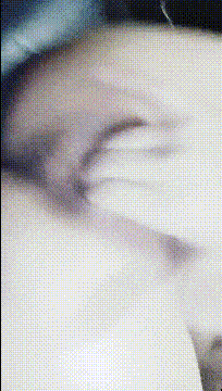 2.gif