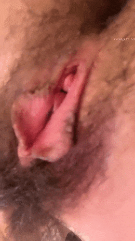 13.gif