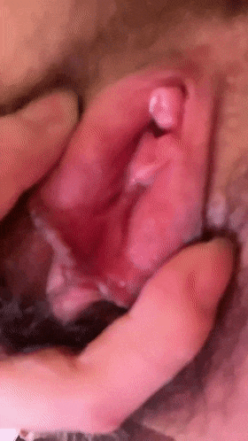 14.gif