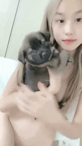 2.gif
